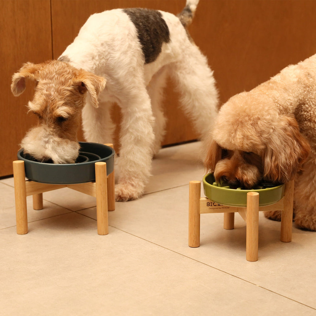 [Spark] Slow Feeder Dog Bowls - Red / Green / Blue - JenJaz Collections