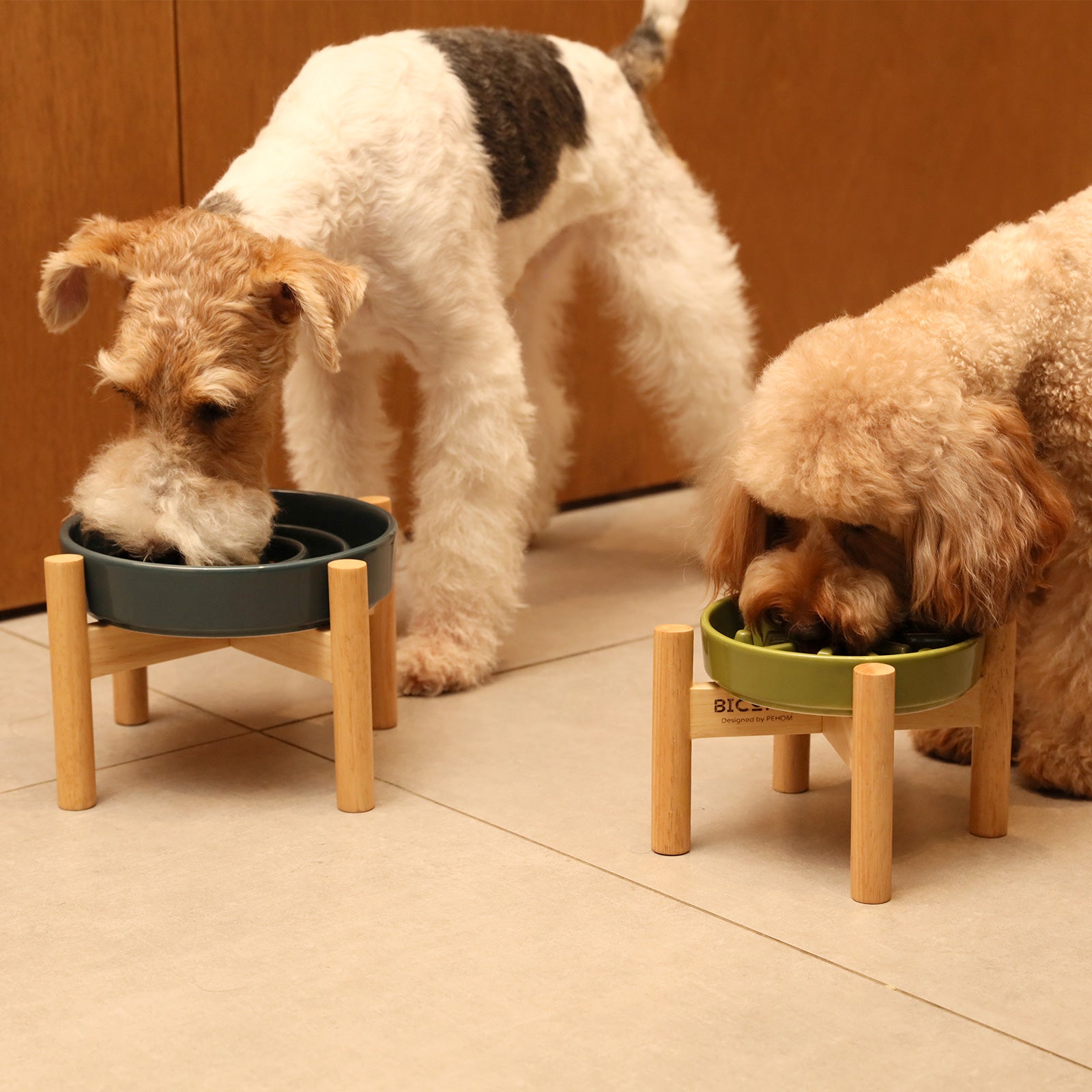 [Spark] Slow Feeder Dog Bowls - Red / Green / Blue - JenJaz Collections